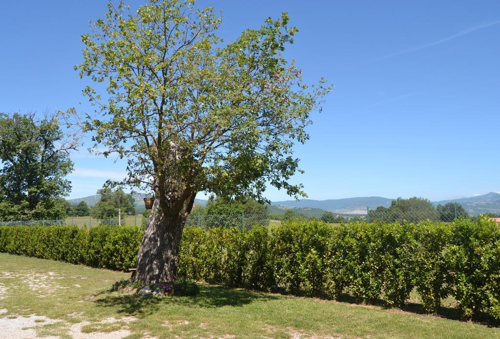 Al Bosco Delle Api Hotel Gallicchio Exterior photo